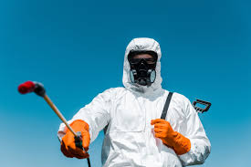 Best Real Estate Pest Inspections  in Ridgefield Park, NJ